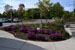 newly planted pollinator garden